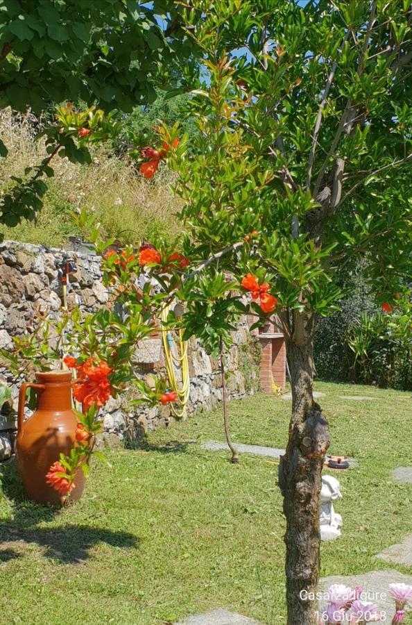 Vila Ca' Olivella Casarza Ligure Exteriér fotografie