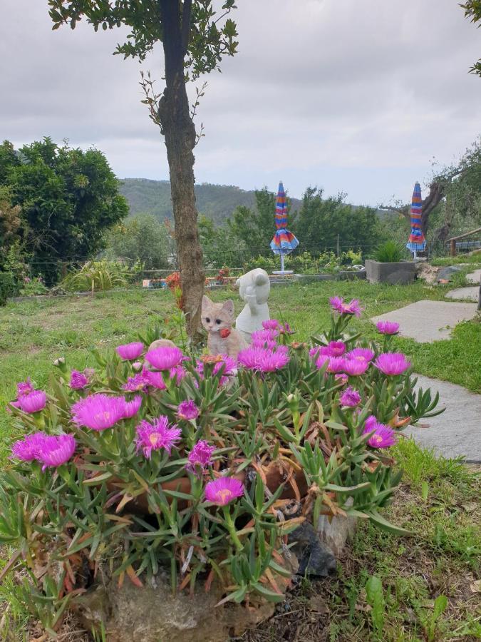Vila Ca' Olivella Casarza Ligure Exteriér fotografie